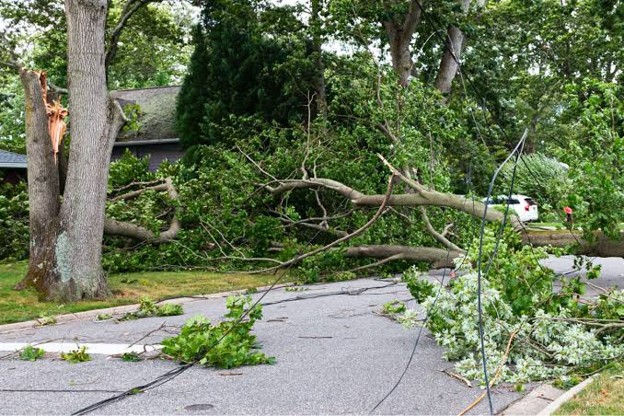 Storm Clean-Up following July 27, 2026 event